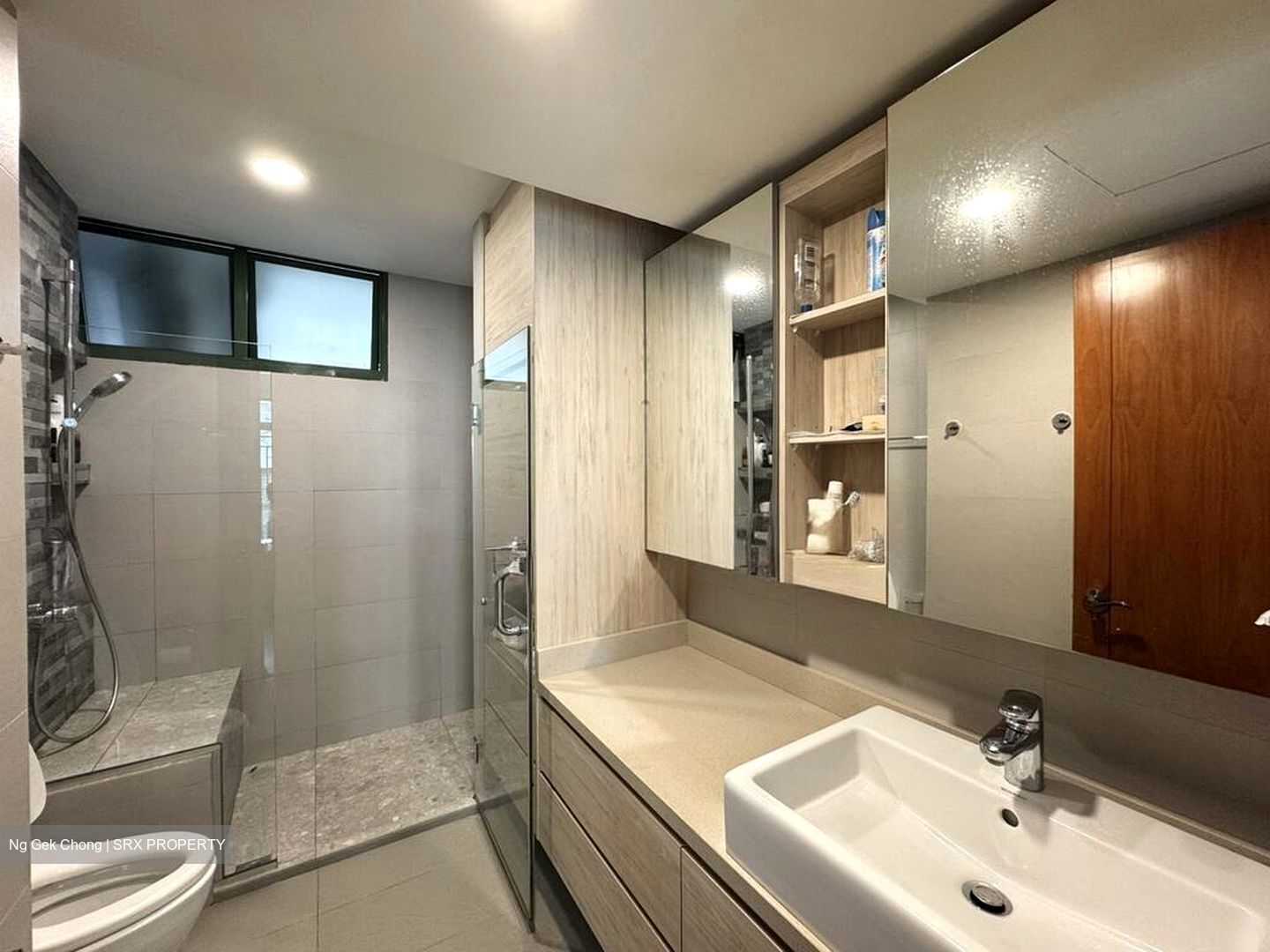 Signature Park (D21), Condominium #510555991